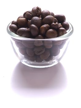 close up of peabody coffee beans