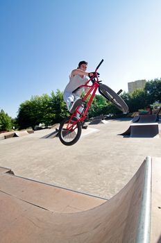 Bmx rider performing a bar spin to a quater pipe ramp on a skatepark.