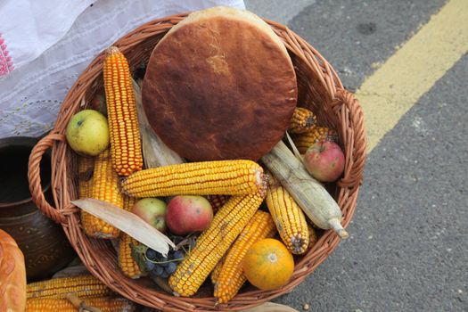 Autumn Harvest
