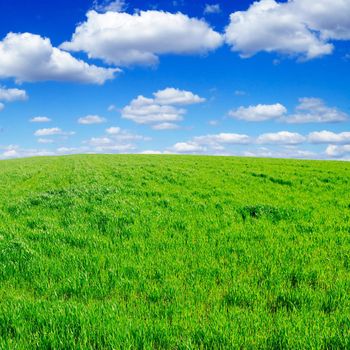 white  clouds and a green field