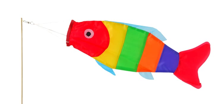 Funny windsock in fish shape, isolated on background