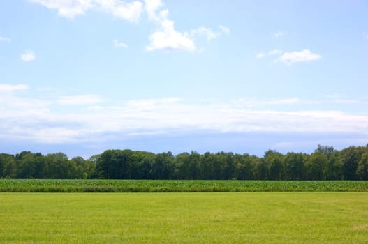 Green rural landscape (netherlands) and a mainly blue sky