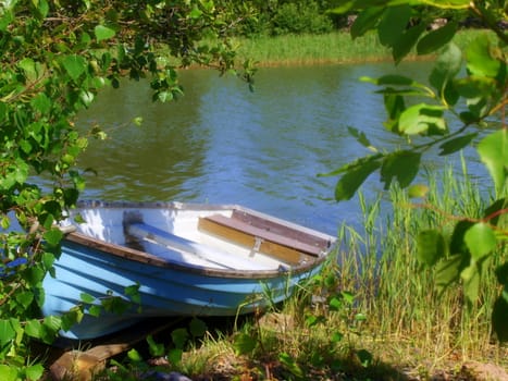 Little blue rowing boat, left in fresh green grass, with green leaves in front