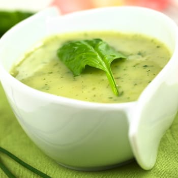 Spinach cream soup with fresh spinach leaf on top (Selective focus, Focus on the left front edge of the leaf)