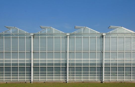 Front view of a glass greenhouse in the netherlands