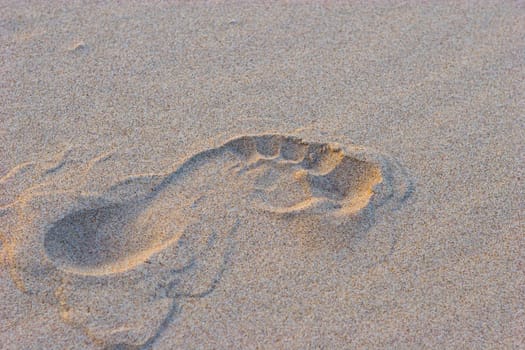 a stamp of the foot on the sand