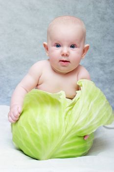 baby seat in cabbage