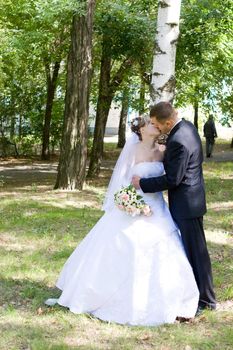 bride and groom kiss near the birch