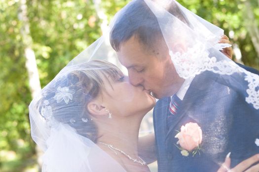 a bride and a groom kissing under the veil