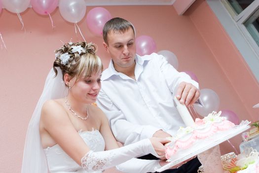 newly married couple with knife cut wedding cake