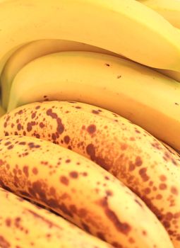 Close up of the sweet bananas. Background.