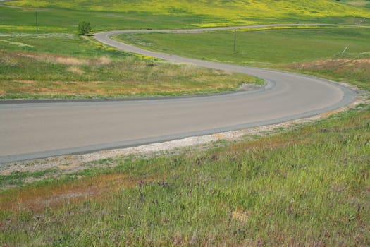 Long windy road on a sunny day.
