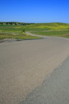 Long windy road on a sunny day.
