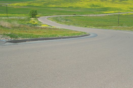 Long windy road on a sunny day.
