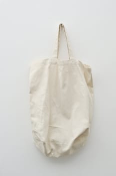 Ecological, reusable, recyclable, white, canvas shooping bag
