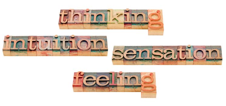 thinking, feeling, intuition and sensation - four classic personality types introduced by Carl Jung - isolated text in vintage wood letterpress printing blocks