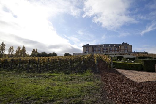 A vineyard estate with grape vines in the foreground