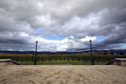 Wine estate with lamp post and grape vines