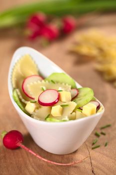 Vegetarian bow tie pasta salad with cucumber, radish, cheese and chives (Selective Focus, Focus on the front of the radish slice in the middle and the cucumber slice on the right)