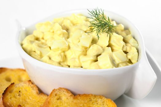 Fresh egg salad made of boiled eggs, mayonnaise and mustard garnished with dill and served with sauteed baguette slices (Selective Focus, Focus one third into the salad)