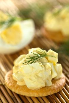 Egg salad served on cracker garnished with dill (Selective Focus, Focus on the upper egg piece in the front on the cracker and the front of the dill)