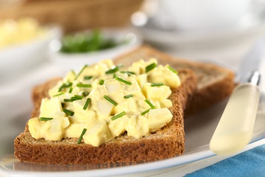 Egg salad with chives on wholewheat toast bread (Selective Focus, Focus one third into the salad)