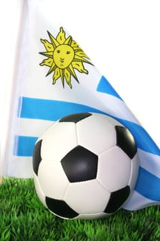 Flag of the Uruguay with football in a field