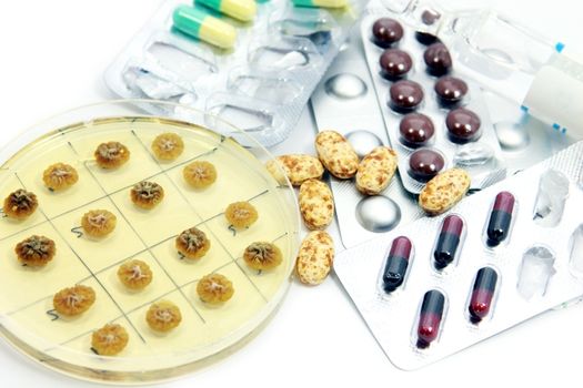 Penicillum fungi and pills of different antibiotics close up