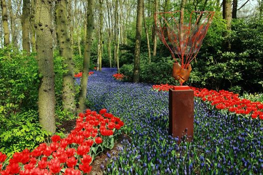 many red and blue flowers between trees in the forest