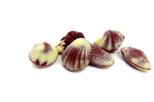 chocolate candies in the shape of different shelfishes on white