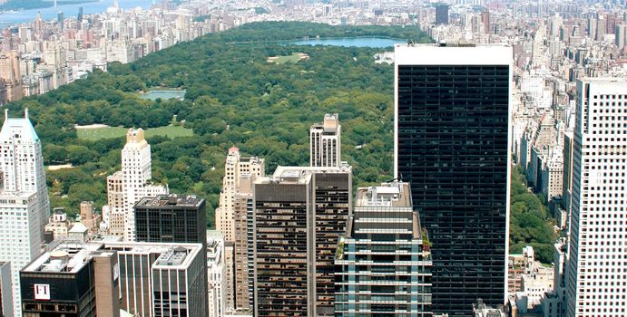 Central Park in the summer