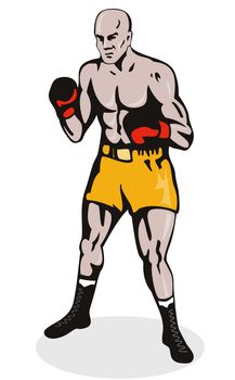illustration of a boxer posing retro style isolated on white