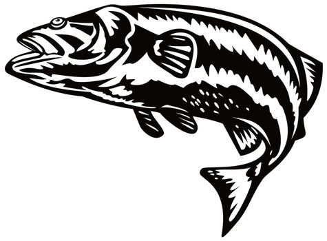 illustration of a largemouth bass jumping done in retro style