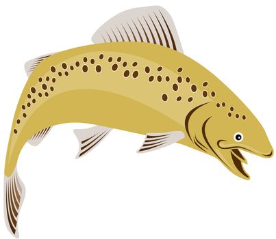 illustration of a spotted trout fish jumping done in retro style on isolated background