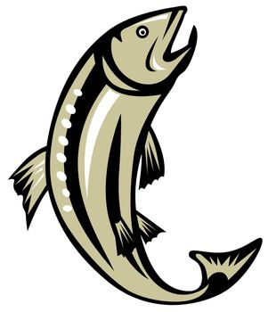 illustration of a trout fish jumping done in retro style on isolated background