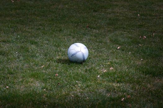 A single football on a meadow at night