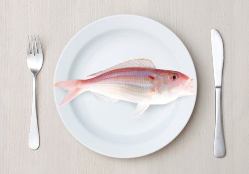 Fish on a plate