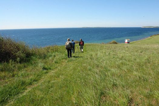 Senior people  with backpacks hiking walking by the sea ocean