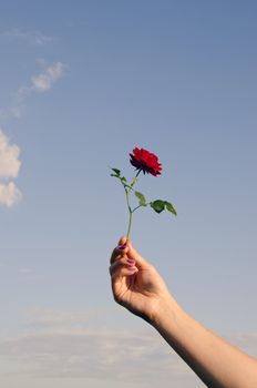 Hand holding tiny rose ring with stalk on a background of blue sky with clouds.