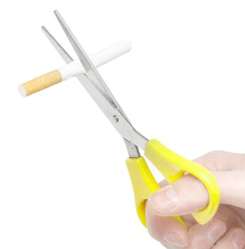 A hand cutting cigarettes