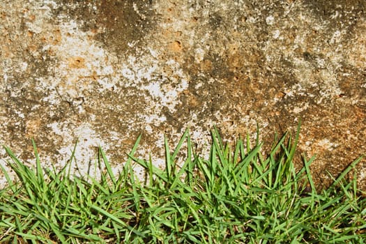 Green grass and concrete wall