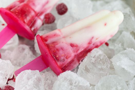 Delicious and refreshing raspberry yogurt icecream popsicles