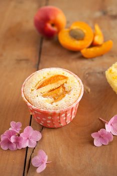 Deliciously baked apricot cupcakes with apricots in background