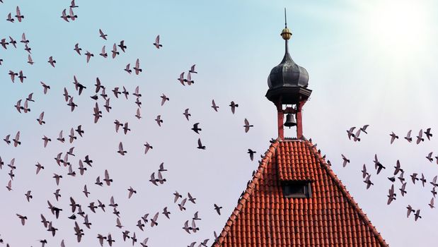 old tower with bell and many flying birds