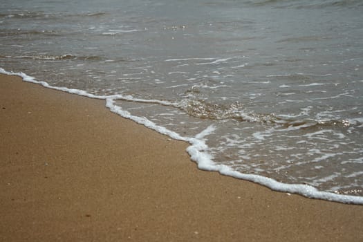 Ocean wave and tropical beach