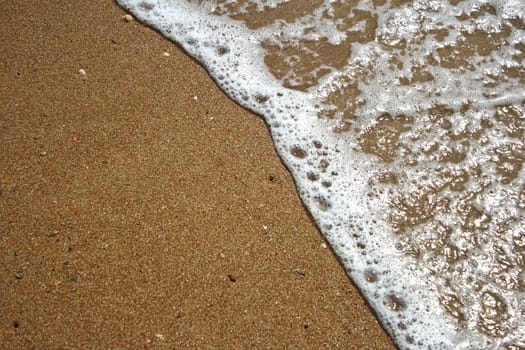 Ocean wave and tropical beach