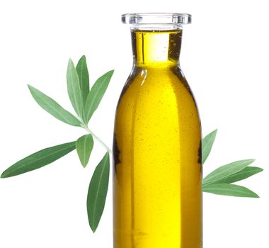 Olive oil in a bottle isolated on white