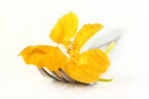 a nasturtium blossom on a fork