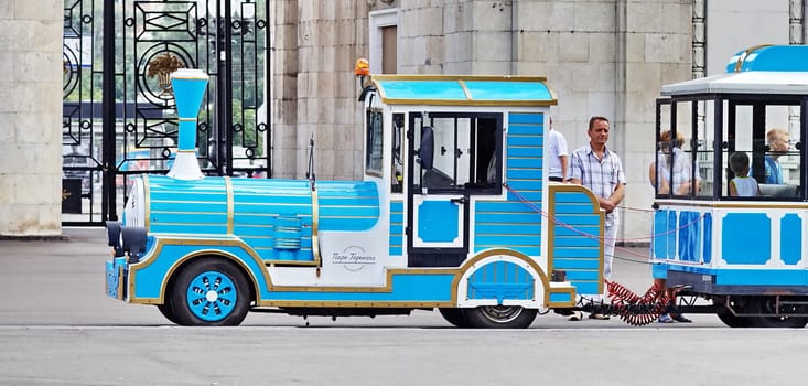 in the park you can ride on a steam train decorative