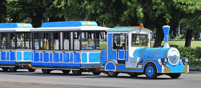 in the park you can ride on a steam train decorative